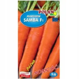 marchew-jadalna-samba-mieszaniec