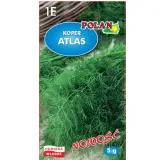 koper-ogrodowy-atlas-rodzaj-rosliny-inny