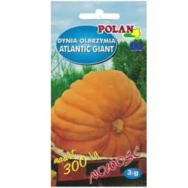 dynia-olbrzymia-atlantic-giant
