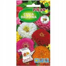 cynia-daliowa-mieszanka