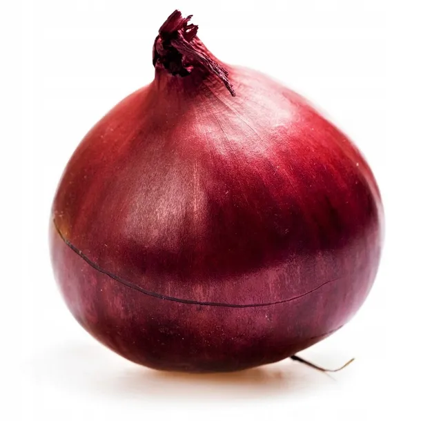 cebula-czerwona-styl-ogrod-japonski-ogrod-nowoczesny-ogrod-skalny-ogrod-srodziemnomorski-ogrod-wiejski