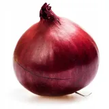 cebula-czerwona-styl-ogrod-japonski-ogrod-nowoczesny-ogrod-skalny-ogrod-srodziemnomorski-ogrod-wiejski