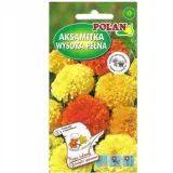 aksamitka-wyniosla-mieszanka