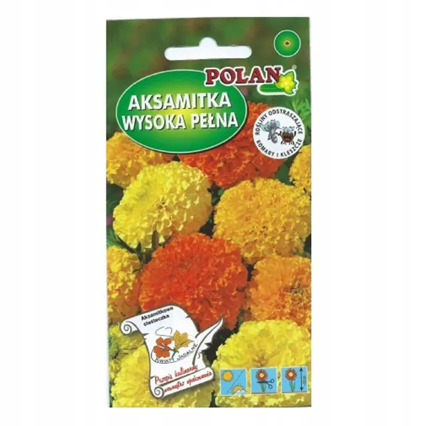 aksamitka-wyniosla-mieszanka-styl-ogrod-wiejski