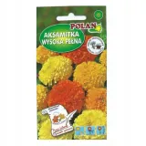 aksamitka-wyniosla-mieszanka-styl-ogrod-wiejski