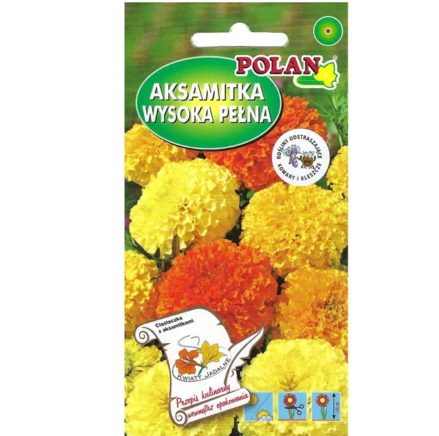 aksamitka-wyniosla-mieszanka-cykl-rozwojowy-rosliny-jednoroczna