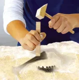 maly-archeolog-wykopaliska-t-rex-marka-ses-creative