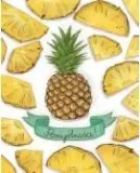 karnet-b6-ananasy-stan-nowy