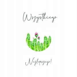 karnet-swarovski-kwadrat-cl4011-po-wszystkiego-najlepszego