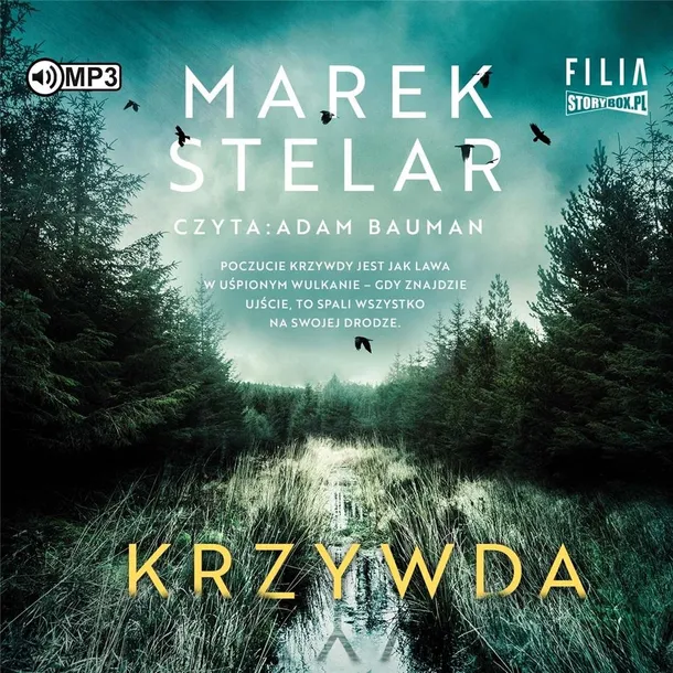 krzywda-audiobook-storybox-tytul-krzywda