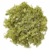 mech-jasnozielony-30g