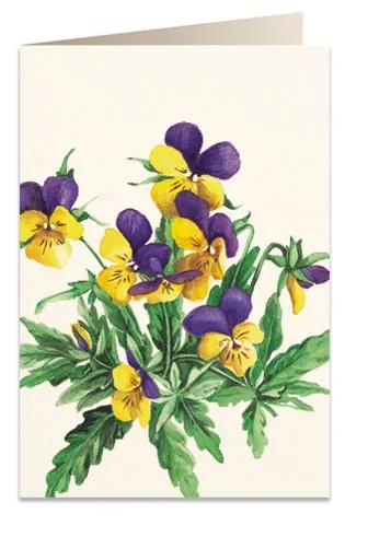 karnet-b6-koperta-8036-bratki-material-papier