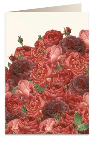 karnet-b6-koperta-7523-czerwone-roze-cechy-dodatkowe-inne