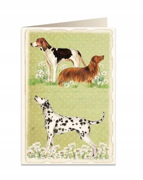 karnet-b6-koperta-5905-psy-okazja-dzien-babci