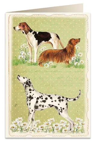 karnet-b6-koperta-5905-psy-cechy-dodatkowe-inne