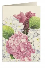 karnet-b6-koperta-5548-rozowa-hortensja