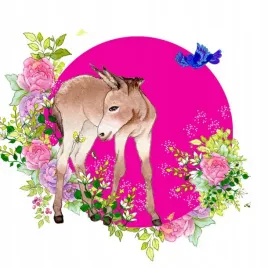 karnet-swarovski-kwadrat-cl2003-osiol