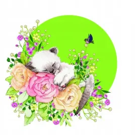 karnet-swarovski-kwadrat-cl2002-kot