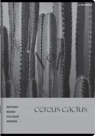 zeszyt-top-2000-botany-a5-96k-kratka-z-marginesem