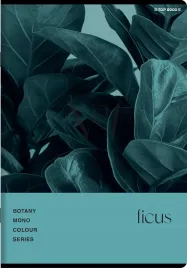 zeszyt-top-2000-botany-a5-60k-kratka-z-marginesem