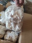 Zdjęcie produktu od kupującego