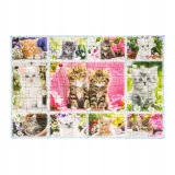 puzzle-100-kocieta-105567-kolekcja-puzzle-schmidt