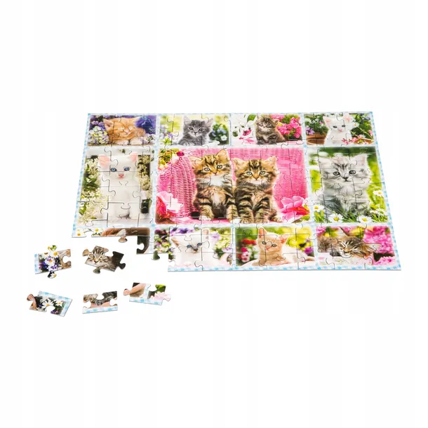 puzzle-100-kocieta-105567-liczba-elementow-100