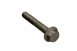 oe-renault-sruba-sworznia-wahacza-zwrotnicy-primastar-movano-a-master-ii