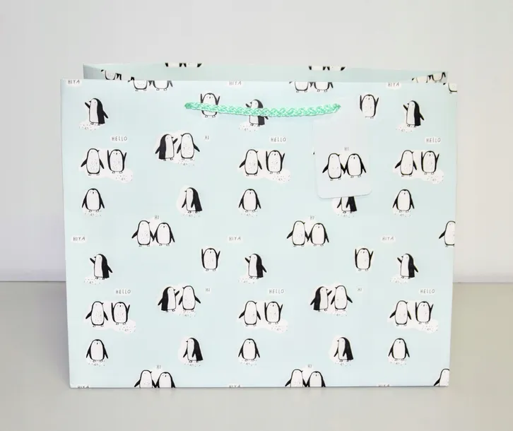 torebka-prezentowa-m-stan-nowy-rodzaj-torebka