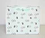 torebka-prezentowa-m-stan-nowy-rodzaj-torebka