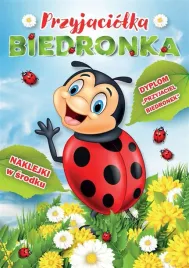 przyjaciolka-biedronka-praca-zbiorowaa4