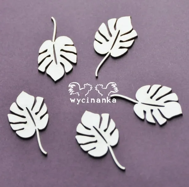 aloha-monstera-liscie