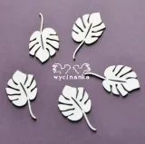 aloha-monstera-liscie