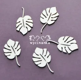 aloha-monstera-liscie