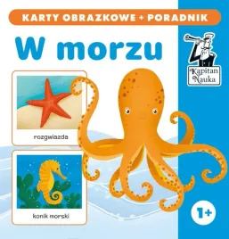 kapitan-nauka-w-morzu-karty-obrazkowe-poradnik
