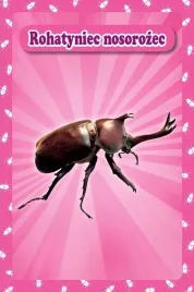 karty-popup-3d-owady