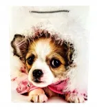 torebka-upominkowa-l-mix-kod-producenta-1030l