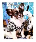 torebka-upominkowa-l-mix-marka-wandk