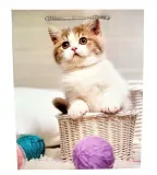 torebka-upominkowa-l-mix-stan-nowy-marka-wandk