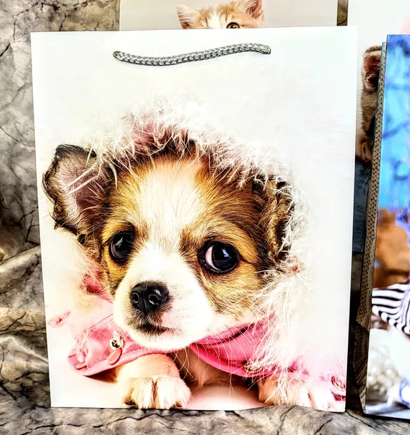 torebka-upominkowa-l-mix-kod-producenta-1030l-stan-nowy