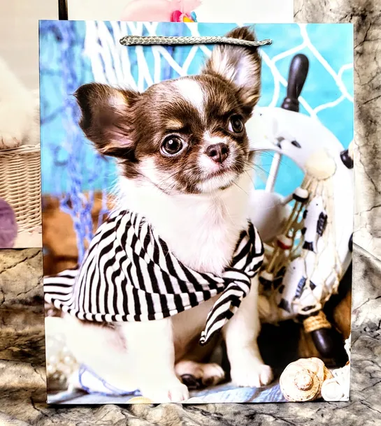 torebka-upominkowa-l-mix-kod-producenta-1030l-marka-wandk