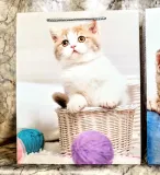 torebka-upominkowa-l-mix-marka-wandk-kod-producenta-1030l