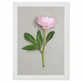 ramka-21x30-cm-a4-biala-na-zdjecie-rysunek-plakat-obrazek-ikea-fiskbo