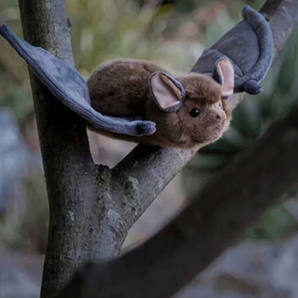 nietoperz-plec-chlopcy-dziewczynki