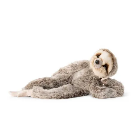 leniwiec-rzepy-marka-tobar