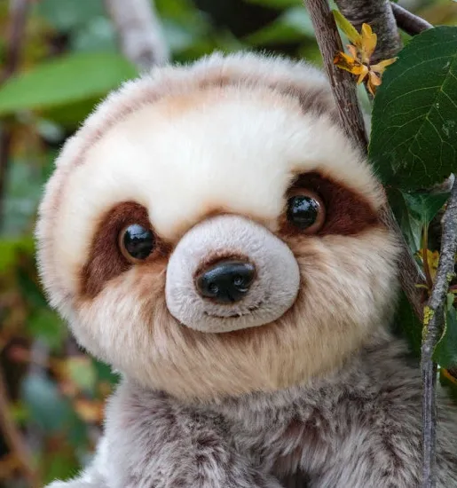 leniwiec-rzepy-certyfikaty-opinie-atesty-ce