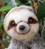 leniwiec-rzepy-certyfikaty-opinie-atesty-ce