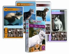 karty-do-gry-koty-cartamundi