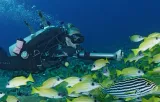 underwater-scooter-waydoo-stan-nowy