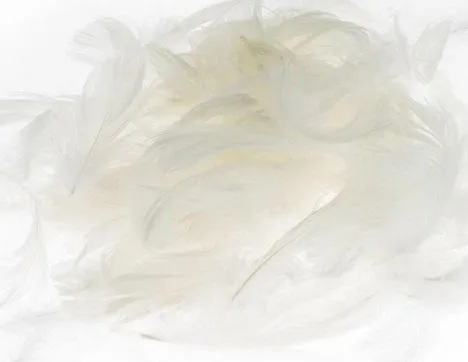 piora-biale-5-12cm-7g-waga-z-opakowaniem-0-1-kg